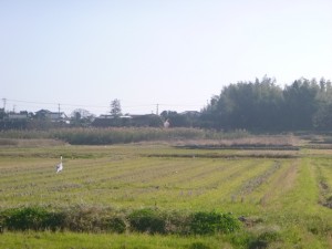 P1050284