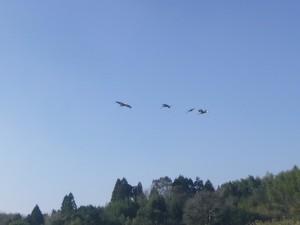 P1050285