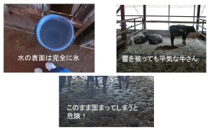 sumen_0116