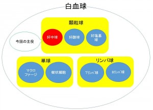 プレゼンテーション1