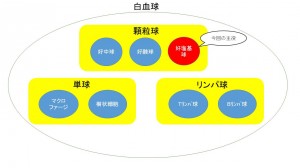 プレゼンテーション1