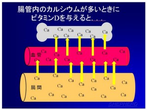 名称未設定-2