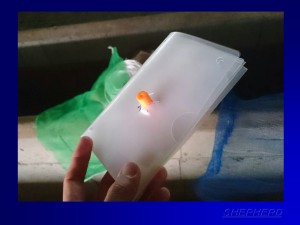 toda_0094_04
