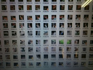 toda_0099_01