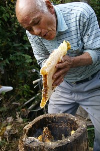 guest_shiibapapa_06_03