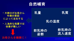 naoya_0017