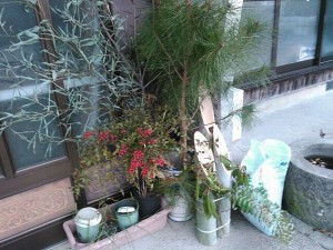 guest_shiibapapa_13_02