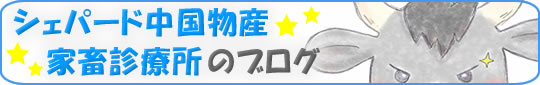 シェパード中国物産家畜診療所のブログ